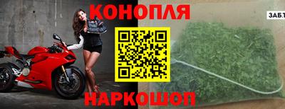гашик Пыть-Ях