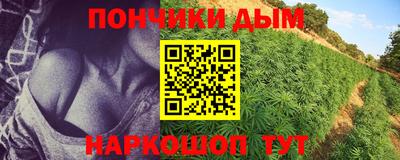 Альфа ПВП Пушкино