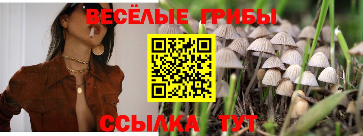 Галлюциногенные грибы GOLDEN TEACHER  Вход с VPN  Сальск 